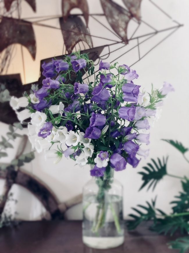 linecamera_shareimage-002