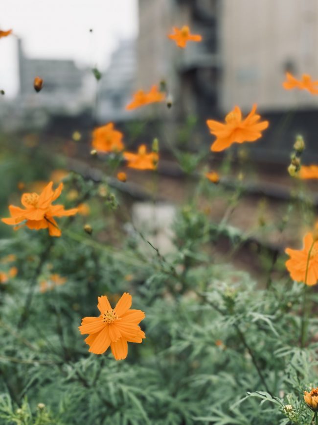 CD3409AC-6AE8-44FC-829B-21E264656FA1-scaled