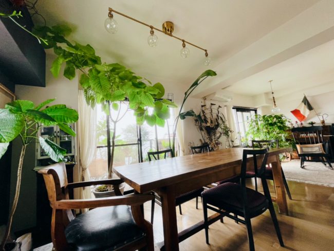 CD4E1DD5-D12E-4C5D-BCF0-E201E159484E